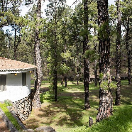 Vivienda Vacacional Finca La Redonda El Paso Bagian luar foto